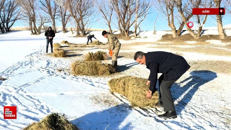 agrili besicilerin zorlu kis mesai