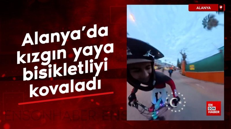 alanyada kizgin yaya bisikletliyi kovaladi NlYKX15a