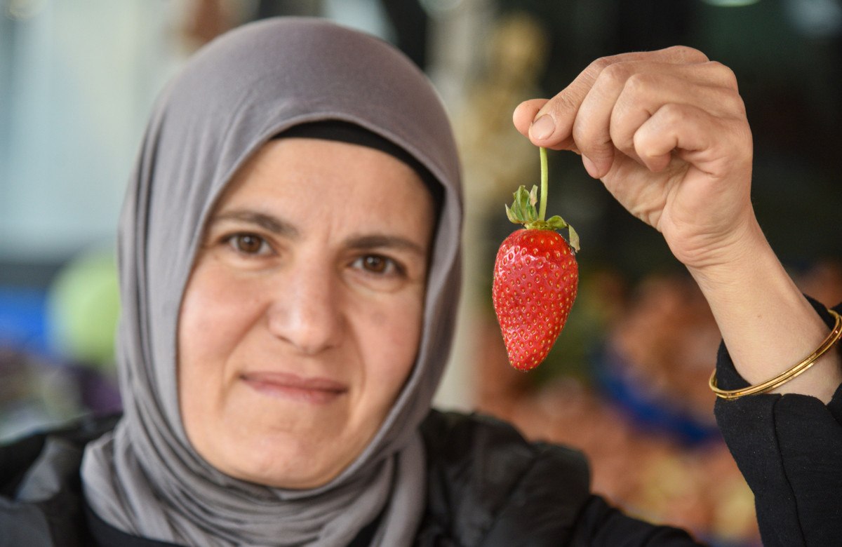 antalyada cilek kilosu 400 liradan tezgahlarda 0 jE2sFFcr