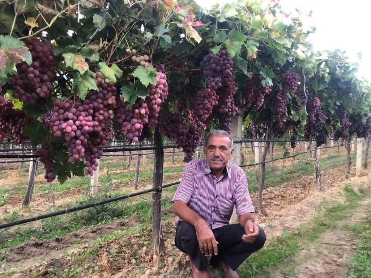 manisa sarigolde kadin isci yevmiyeleri 100 tl zamlandi 2