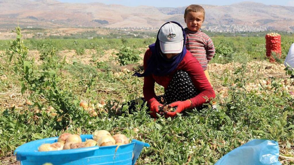 mevsimlik tarim iscisi ailelerin cocuklarinin egitimi icin yeni onlemler lYXYiLKh