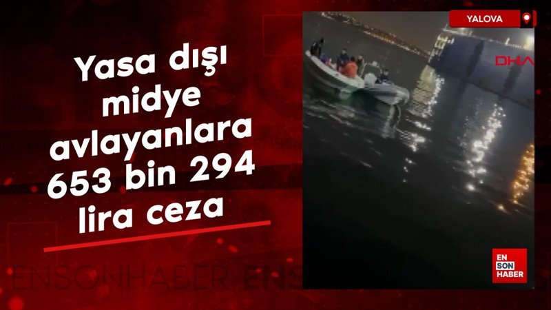 yalovada yasa disi midye avlayanlara 653 bin 294 lira ceza FFWXPOmZ