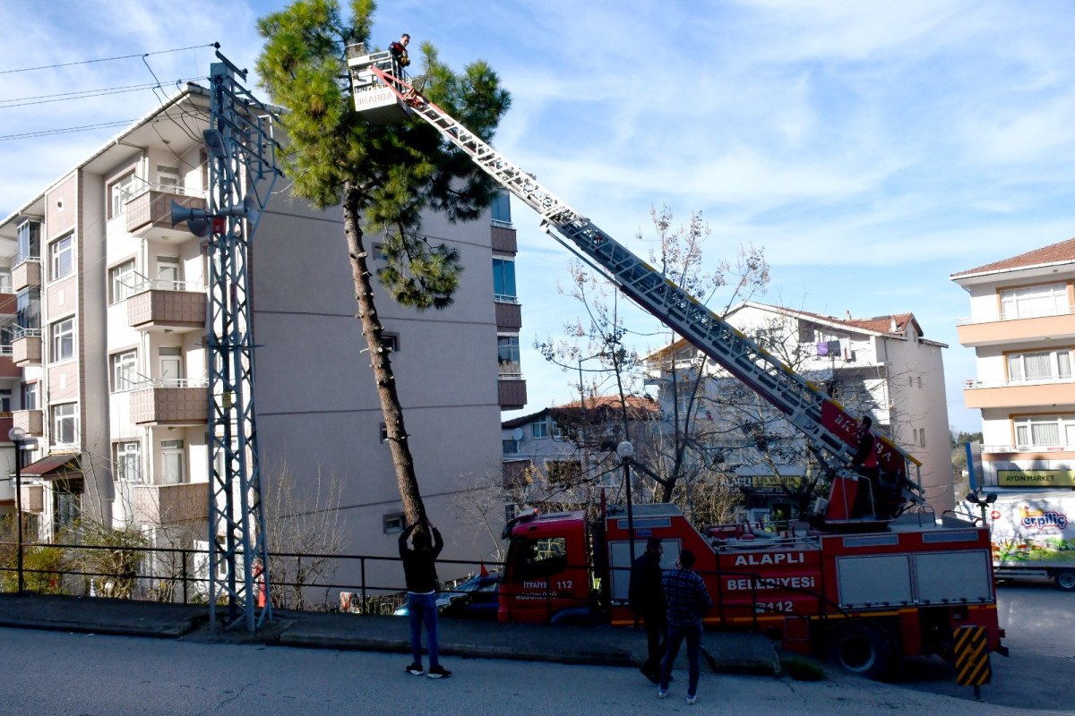 zonguldakta korkmus kedi kendisini kurtaran itfaiyeciyi birakmadi 5 gMERSgce