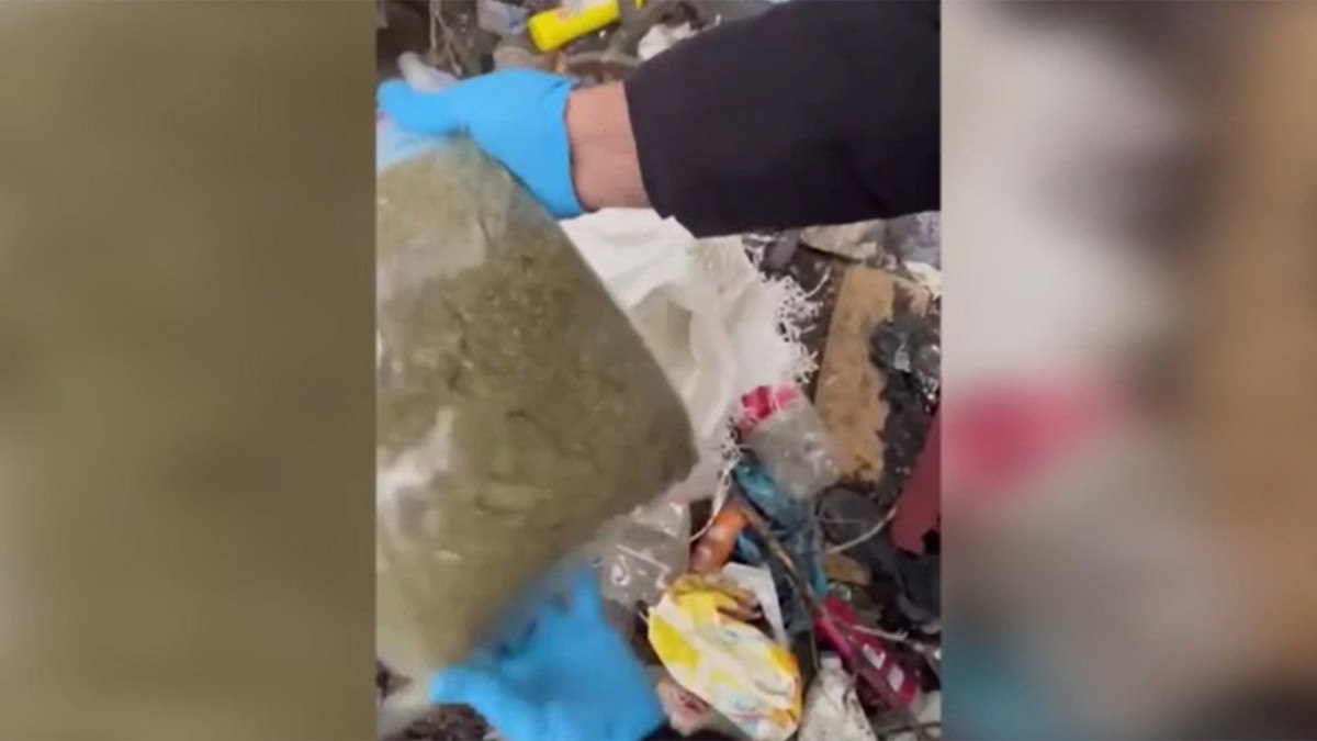 yalovada 9 kilo 730 gram sentetik uyusturucu bulundu 2 gozalti 0 Ukg77HhK