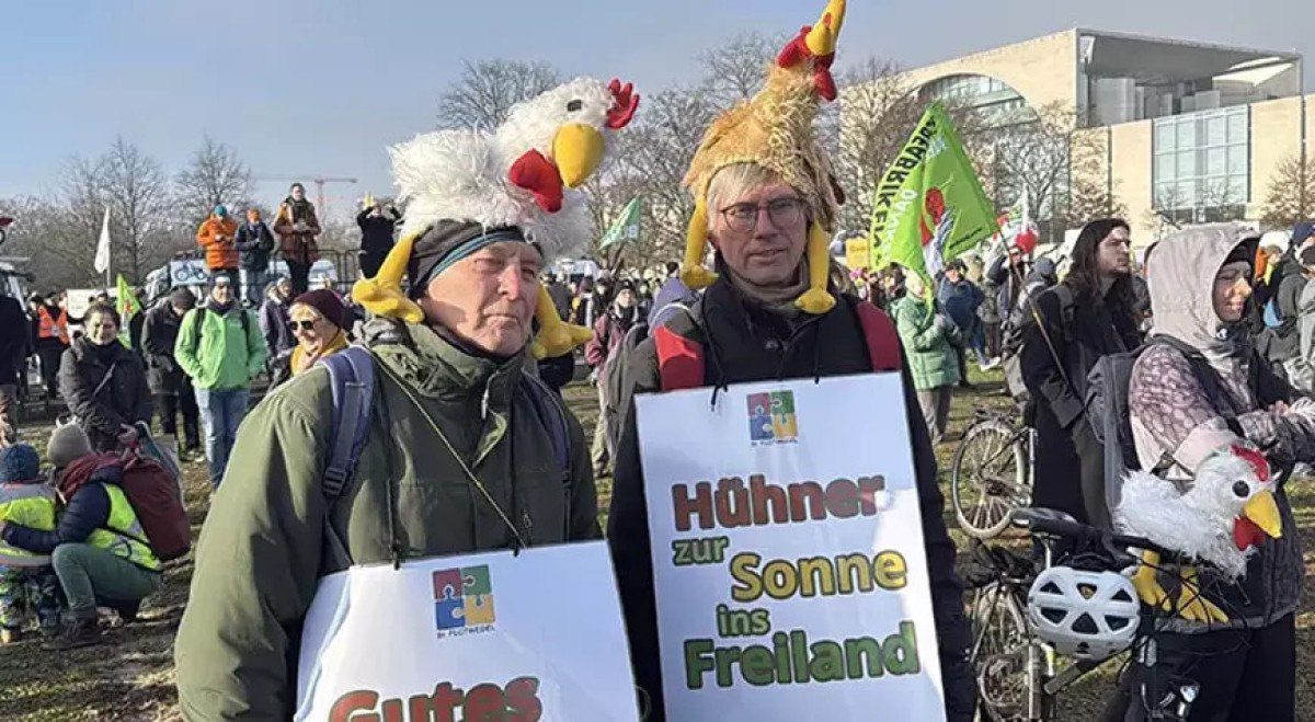 almanyada ciftciler hukumetin tarim politikalarina tepkili 0