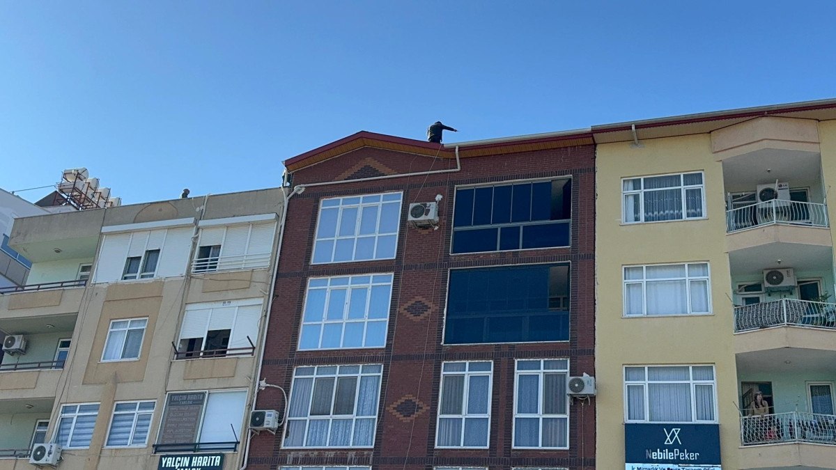 antalyada dislerini yaptiramayan adam catiya cikti polisten soz alinca vazgecti 0 18IL3812