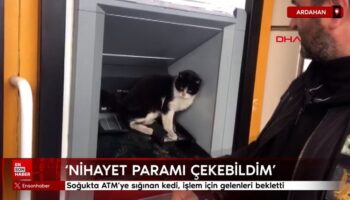 ardahanda sogukta atmye siginan kedi islem icin gelenleri bekletti qwvhRrzQ