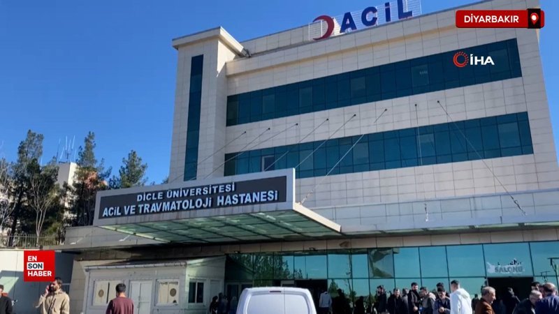 diyarbakirda kopek saldirisina ugrayan cocuk kafasindan yaralandi stgBblDB