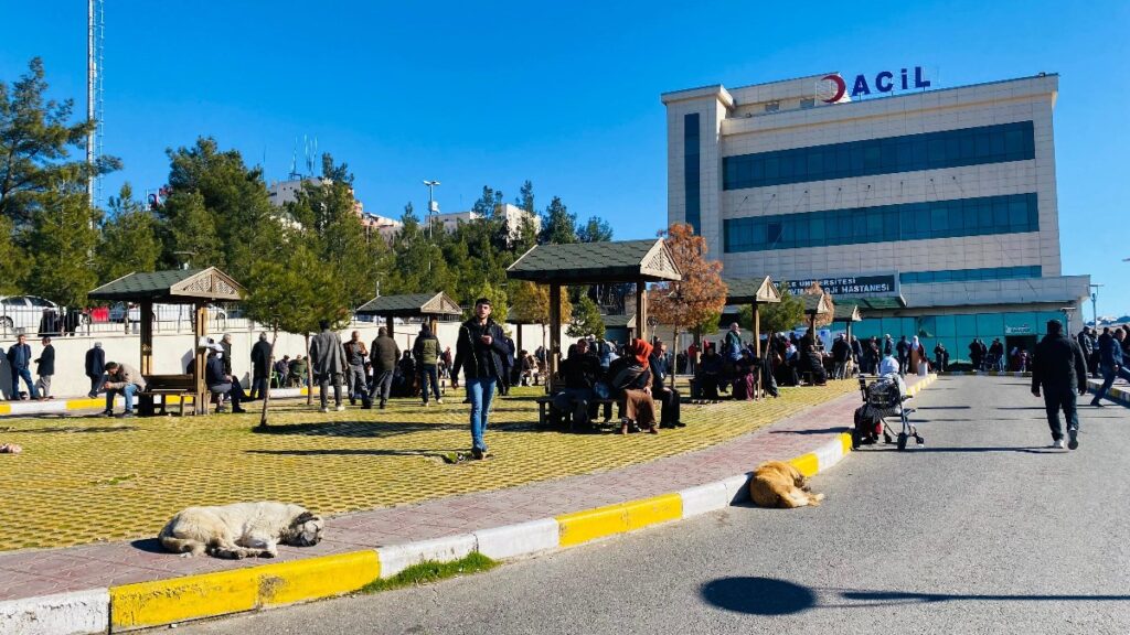diyarbakirda kopek saldirisina ugrayan cocuk yaralandi t32TrLP5