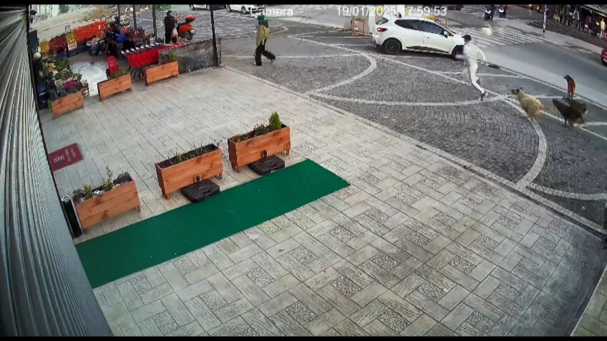 esenyurtta sokakta beslenen kopekler yoldan gecenlere saldirdi 2 GppPYQvX