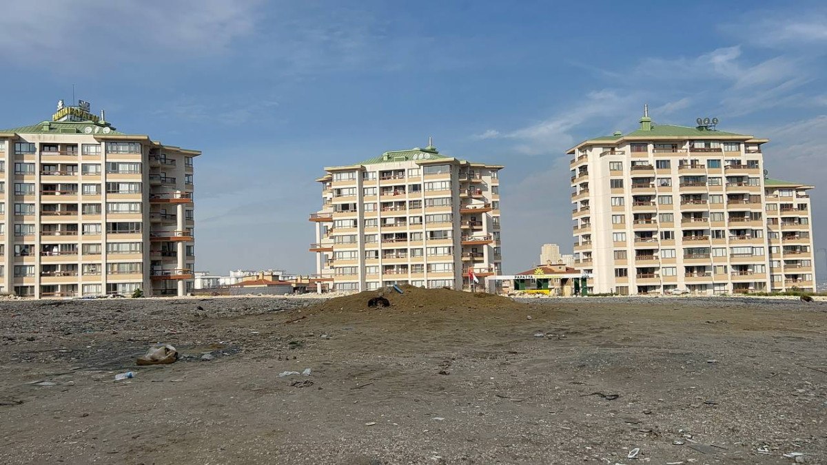 esenyurtta sokakta beslenen kopekler yoldan gecenlere saldirdi 5 4jfdsp6p