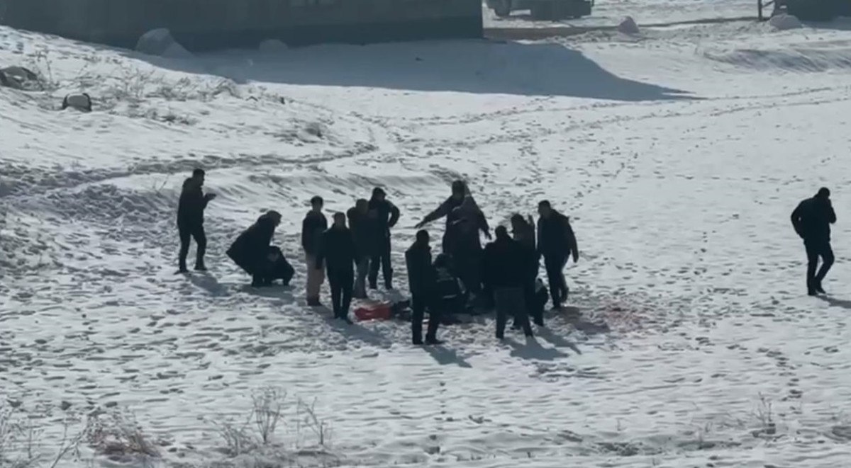 hakkaride eslemin olumu sonrasi bolgedeki sokak kopekleri toplaniyor 0 jvK3GeAE