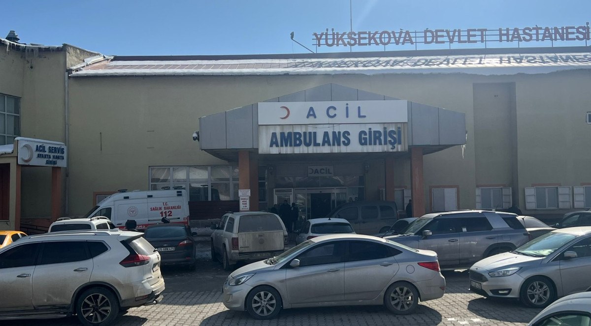 hakkaride sokak kopeklerinden kucuk cocuga saldiri 1 2wukLCCL