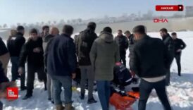 hakkaride sokak kopeklerinin saldirdigi eslem agir yaralandi DzLR1Y97