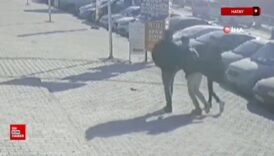 hatayda cuzdanini kaybeden kadin cuzdanini bulan 3 gence cagrida bulundu VTJHxhkt