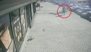 hatayda icinde emanet para olan cuzdanini kaybetti SUc1WSOb