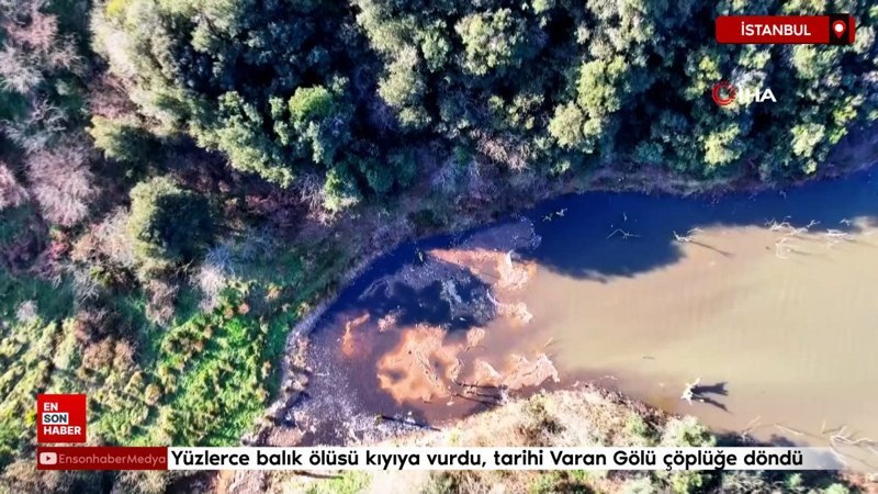 İstanbul'da balık ölüleri kıyıya vurdu, tarihi Varan Gölü çöplüğe döndü 1 istanbulda balik oluleri kiyiya vurdu tarihi varan golu copluge dondu 6T1wAMAY