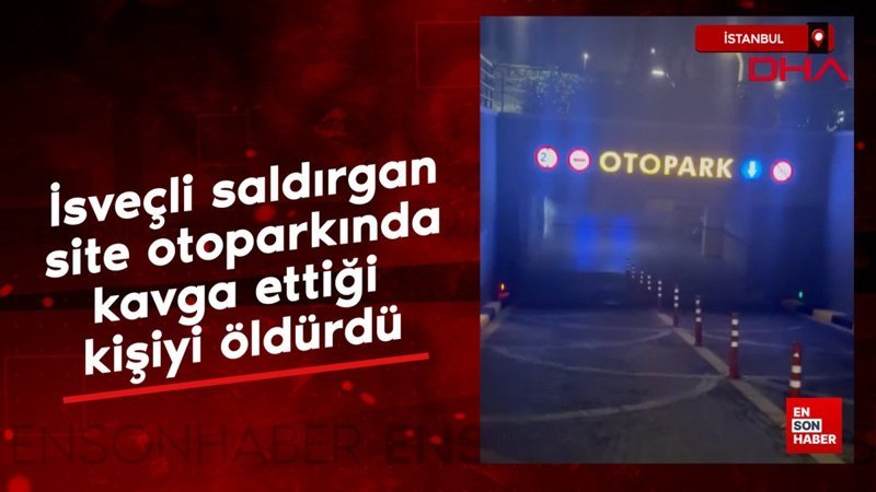 İstanbul'da İsveçli saldırgan dehşet saçtı 1 istanbulda isvecli saldirgan dehset sacti