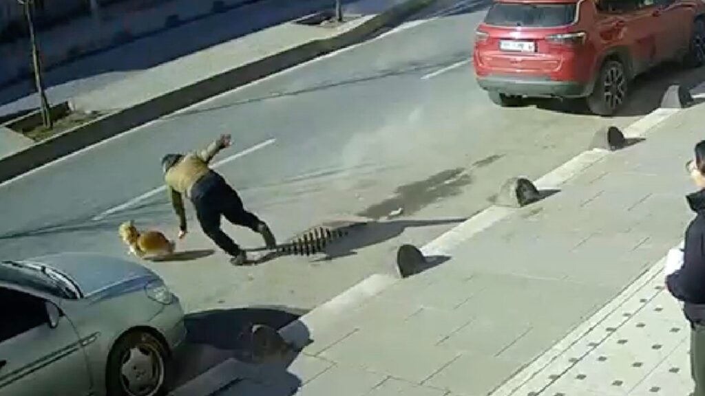 istanbulda kacan kopegini yakalamak isterken olumden dondu ftQlc5rk