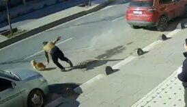 istanbulda kacan kopegini yakalamak isterken olumden dondu ftQlc5rk