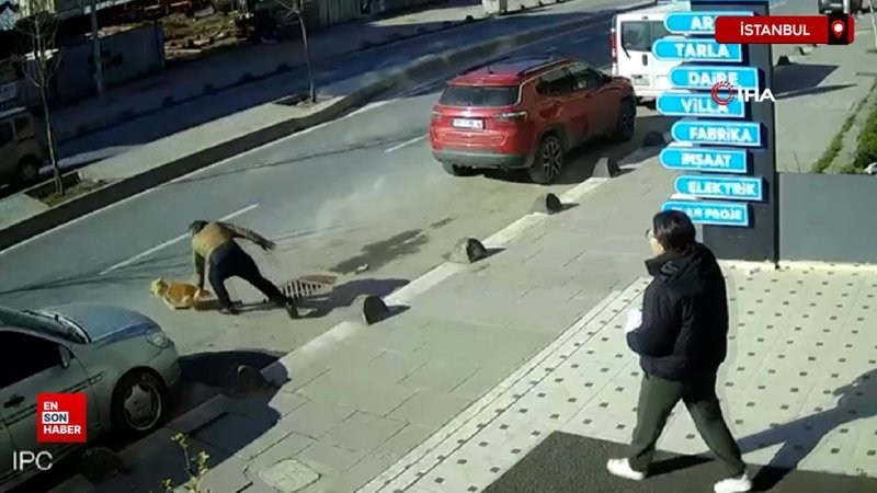 İstanbul'da köpeğini kurtarmak için caddeye atladı, bacağına 20 dikiş atıldı 1 istanbulda kopegini kurtarmak icin caddeye atladi bacagina 20 dikis atildi Ci2BU2S2