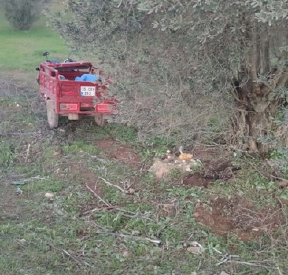 izmirde 3 tekerlekli motosiklet zeytin agacina carpti 2 kardes oldu 0 ji4KQywz