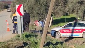 izmirde 3 tekerlekli motosiklet zeytin agacina carpti 2 kardes oldu J1hzQ77O