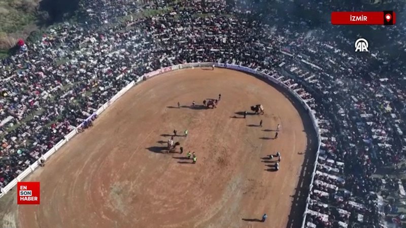 İzmir'de 43. Efes Selçuk Deve Güreşi Festivali yapıldı 1 izmirde 43 efes selcuk deve guresi festivali yapildi