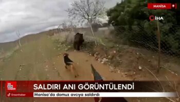 manisada domuz avciya saldirdi uEQhkhwr