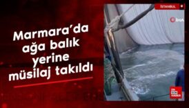 marmarada aga balik yerine musilaj takildi zuLmwYrA