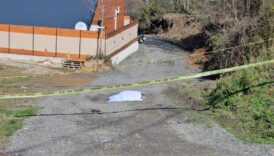 sakaryada arazi kavgasi emekli polis kardesini oldurdu 5wUDFSJA