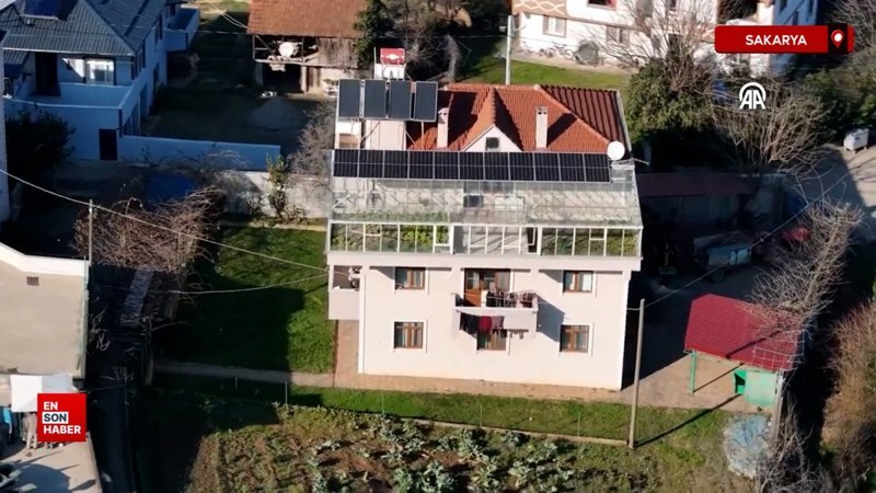 Sakarya'da evlerin terasında kurduğu seralarda 4 mevsim organik tarım yapıyor 1 sakaryada evlerin terasinda kurdugu seralarda 4 mevsim organik tarim yapiyor 5ZKybOnK