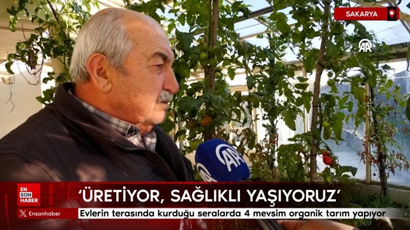 Sakarya'da evlerin terasında kurduğu seralarda 4 mevsim organik tarım yapıyor 1 sakaryada evlerin terasinda kurdugu seralarda 4 mevsim organik tarim yapiyor WKFnvtBL