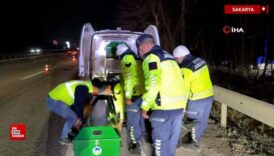 sakaryada otoyolda bir kisinin parcalanmis halde cesedi bulundu p6CbyAKZ