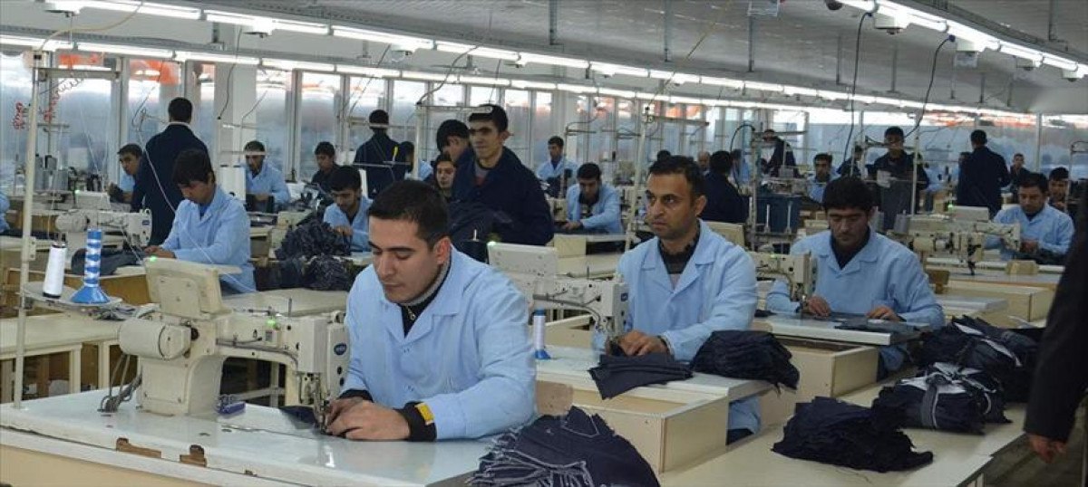 sigortali calisan sayisi 255 milyona yukseldi 0 d363hmny