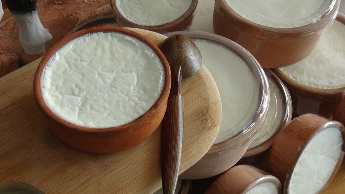 silifke yogurdu da artik abden cografi isaret tescilli 0 6kdV6DvD