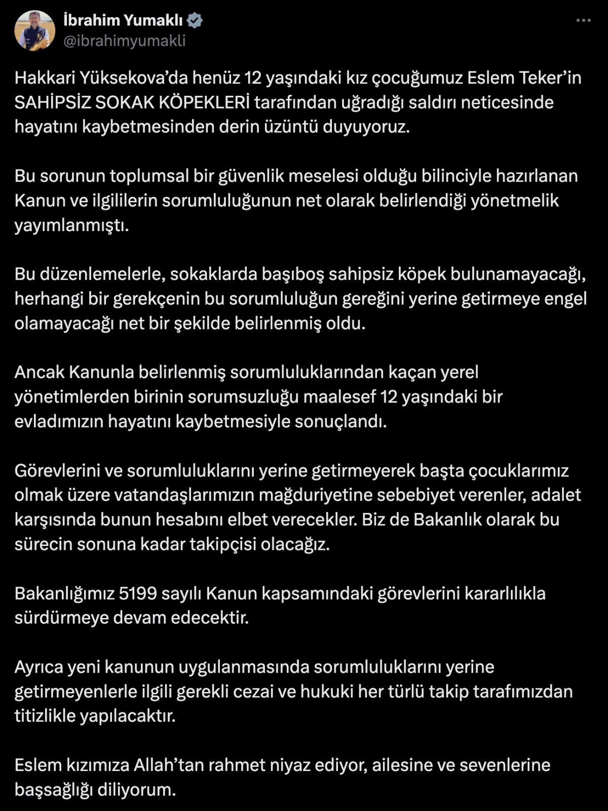 sokak kopeklerinin saldirisinda hayatini kaybetmisti ibrahim yumaklidan aciklama geldi 3 sPfmYCz4