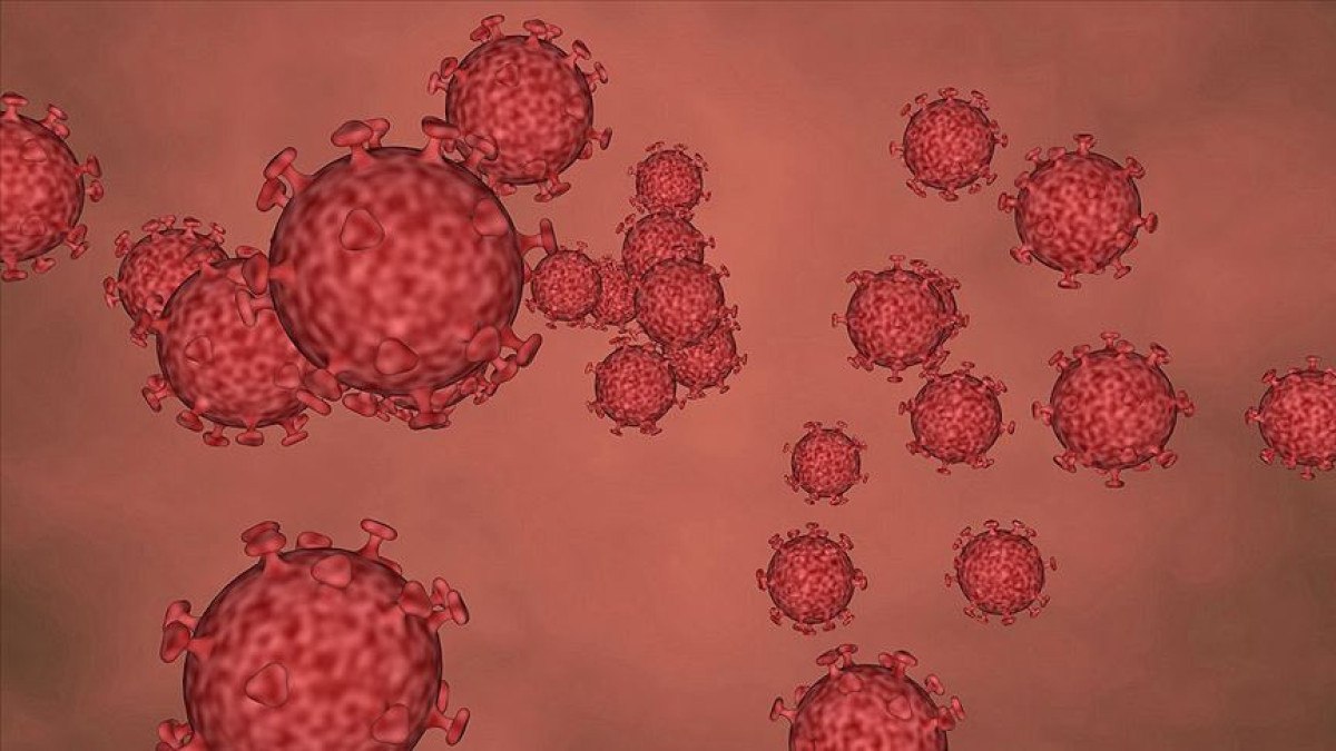 tanzanya marburg salginini dogruladi olumcul virus alarmi 0 RRLu9Sq9