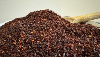 turkiyeden 101 ulkeye pul biber ihrac edildi Y7YeO57G