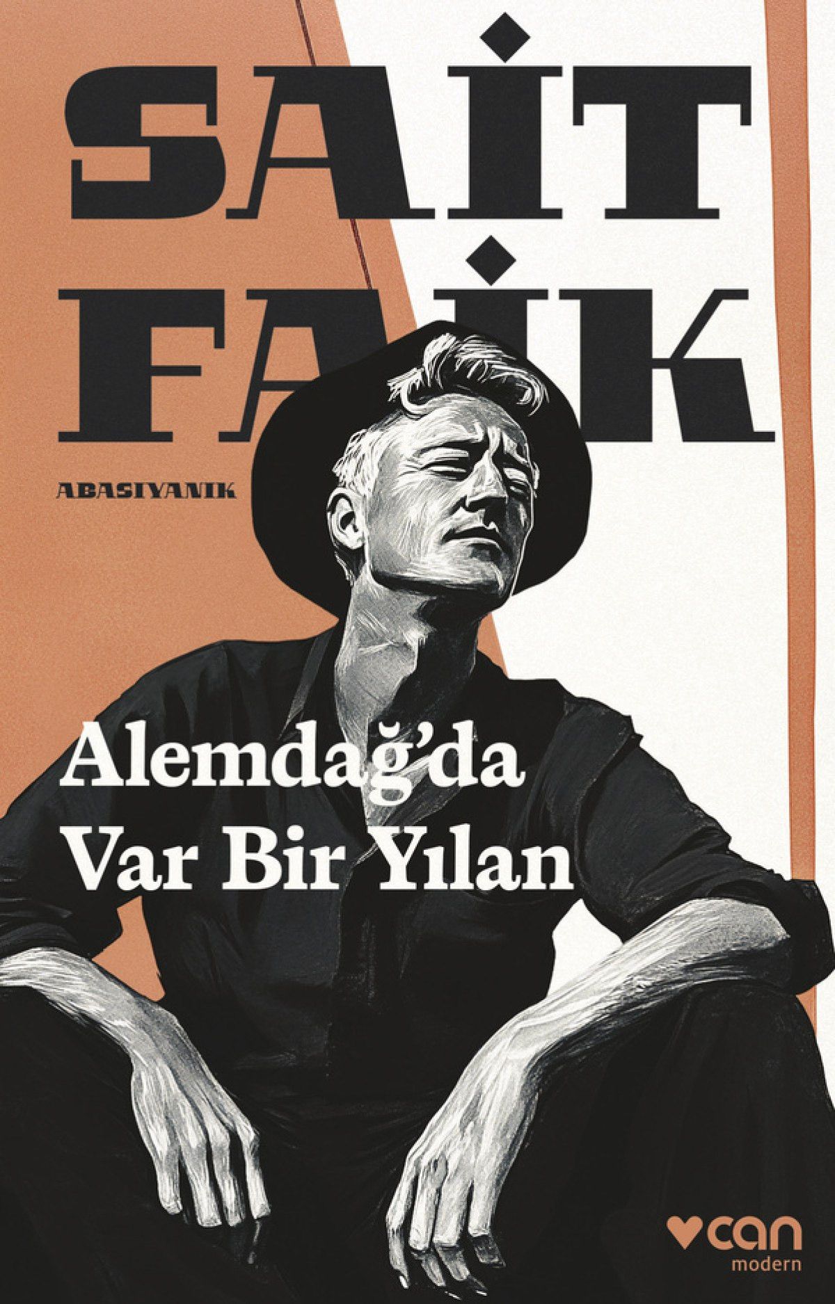 27 ocak 2025 pazartesi raflardaki kitaplar 4