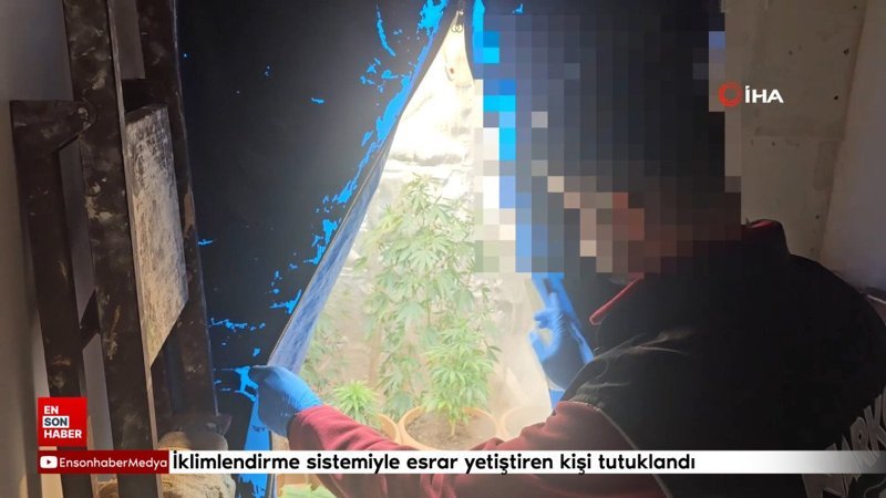 Adana'da iklimlendirme sistemiyle esrar yetiştiren kişi tutuklandı 1 adanada iklimlendirme sistemiyle esrar yetistiren kisi tutuklandi fm6KKAgg