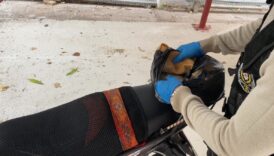 adanada uyusturuculari ekmek arasina saklayan torbacidan ilginc savunma sA6WfKtH
