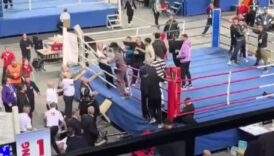 antalyada boks macinda hakeme yumruklu saldiri 5 gozalti dNYpOxRu