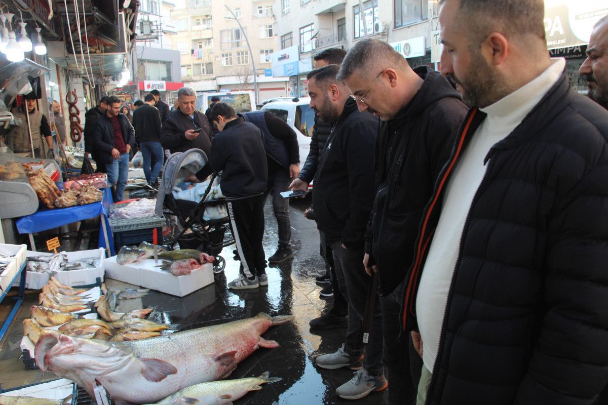 batmanda 1 metre 65 santim uzunlugunda tam 120 kilo kilosunu 350 liradan satiyorlar 0 j24Vb5t6