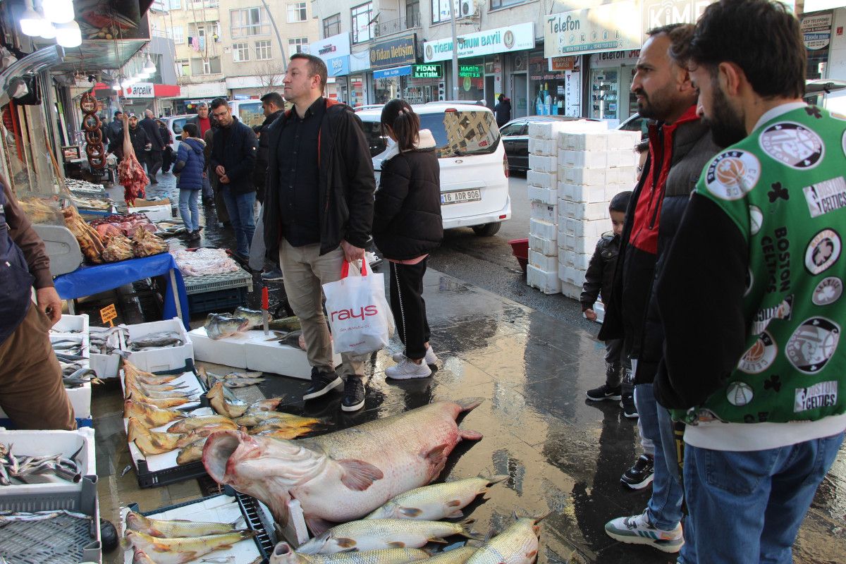 batmanda 1 metre 65 santim uzunlugunda tam 120 kilo kilosunu 350 liradan satiyorlar 1 h2iOlWsY