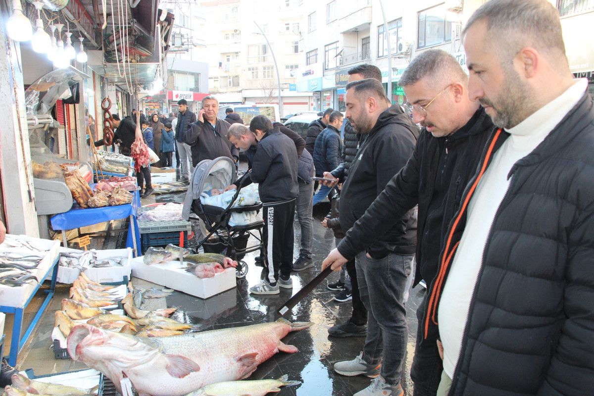 batmanda 1 metre 65 santim uzunlugunda tam 120 kilo kilosunu 350 liradan satiyorlar 2 3RWEPRfK