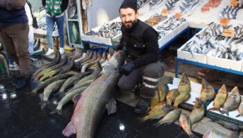 batmanda 1 metre 65 santim uzunlugunda tam 120 kilo kilosunu 350 liradan satiyorlar nawXvlcO