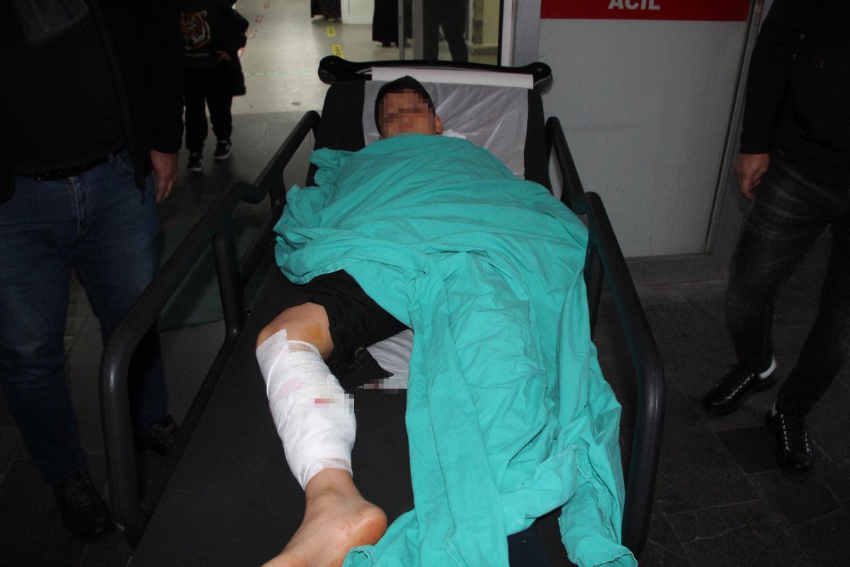 batmanda 12 yasindaki cocuk basibos kopeklerin saldirisina ugradi 0 Xi2i6slF