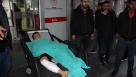 batmanda 12 yasindaki cocuk basibos kopeklerin saldirisina ugradi 2yKNI2eX