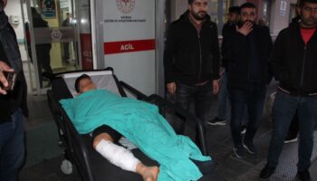 batmanda 12 yasindaki cocuk basibos kopeklerin saldirisina ugradi 2yKNI2eX